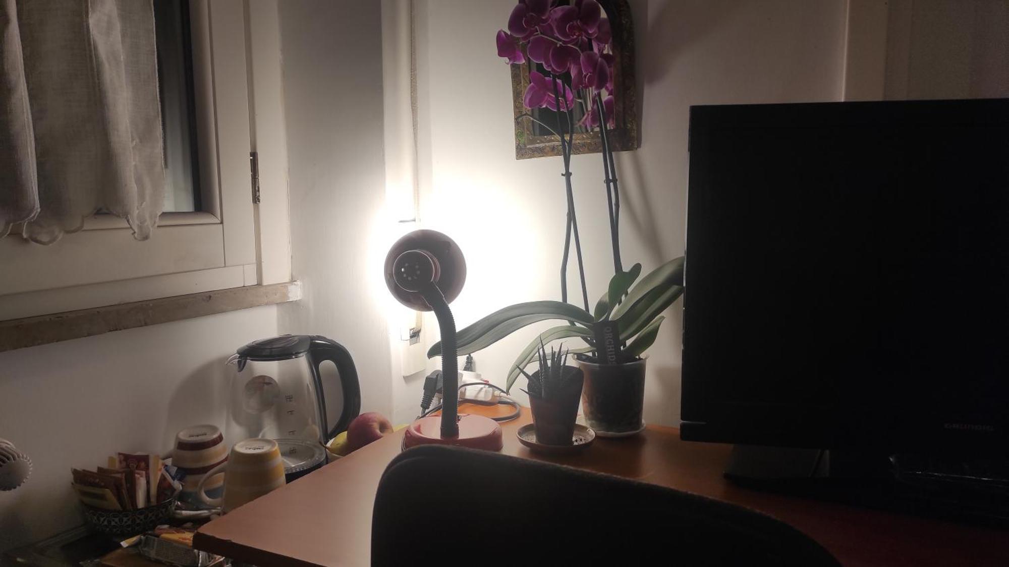 Quarto em Acomodações Particulares Pineta Sacchetti *